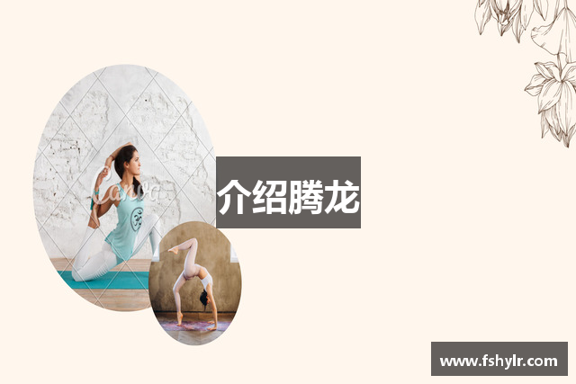 介绍腾龙